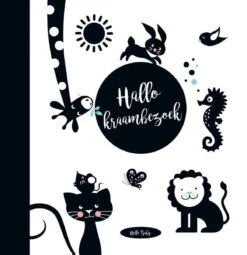 Hello - Baby's Eerste Jaar -Babyproducten 1164x1200 6
