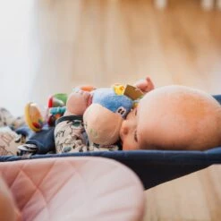 Playgro Clip Clop Rammelaar - Blauw - Activiteitenspeeltje - Kraamkado -Babyproducten 1200x1200 1306