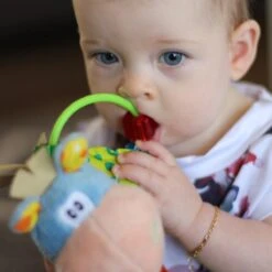 Playgro Clip Clop Rammelaar - Blauw - Activiteitenspeeltje - Kraamkado -Babyproducten 1200x1200 1308