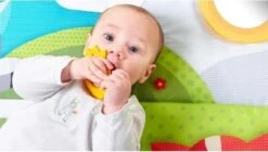 Tiny Love Supermat Speelmat - Meadow Days -Babyproducten 1200x678 3