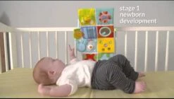 Taf Toys Activity Center Voor Aan De Box, Campingbed Of Los Te Gebruiken, Met Muziek En Licht – 0 Tot 24 Maanden -Babyproducten 1200x682 6