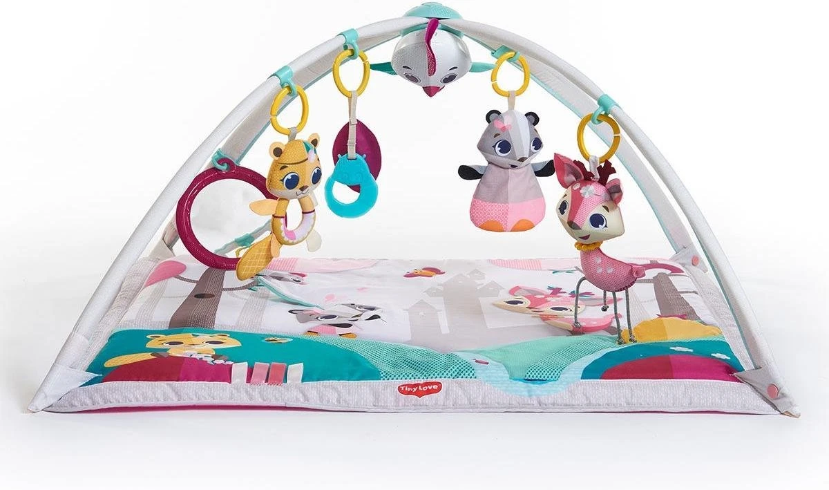 Tiny Love Deluxe Babygym - Princess Tales - Roze 9 Tiny Love Deluxe Babygym - Princess Tales - Roze - Afbeelding 9