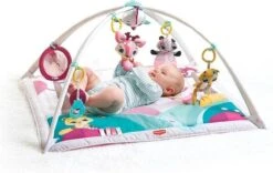 Tiny Love Deluxe Babygym - Princess Tales - Roze 23 Tiny Love Deluxe Babygym - Princess Tales - Roze -Babyproducten 1200x759 3