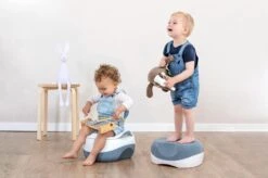 Safety 1st 3 In 1 Potje - Potje, Zitverkleiner, Opstapje - Grijs -Babyproducten 1200x799 3