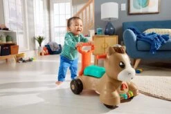 Fisher Price Fisher-Price Pony Loopvriendje - Looptrainer Baby - Bruin - Groen -Babyproducten 1200x800 175