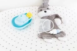 Neuszuiger Voor Baby - Nûby -Babyproducten 1200x800 27