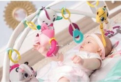 Tiny Love Deluxe Babygym - Princess Tales - Roze 22 Tiny Love Deluxe Babygym - Princess Tales - Roze -Babyproducten 1200x809 7