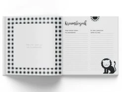 Hello - Baby's Eerste Jaar -Babyproducten 1200x902 1