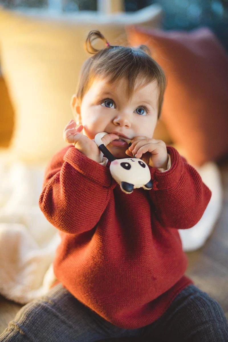 Lanco Rubberen Bijtring - Kori De Panda - Zwart - Wit 3 Lanco Rubberen Bijtring - Kori De Panda - Zwart - Wit - Afbeelding 3