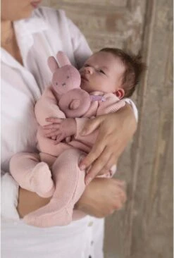 Nijntje - Rammelaar - Pink Baby Rib - 0+ Maanden 12 Nijntje - Rammelaar - Pink Baby Rib - 0+ Maanden -Babyproducten 810x1200 2